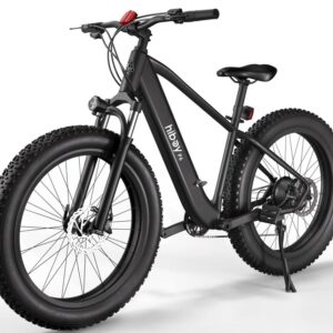 Hiboy P6 Fat Tire Electric Bike