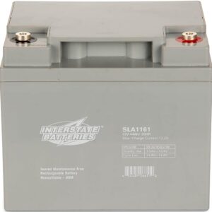 Interstate Batteries 12V 44Ah Battery (Insert Terminal) SLA AGM VRLA Rechargeable Replacement for UPS Backup Power, Fire & Security, Emergency Lighting (SLA1161)