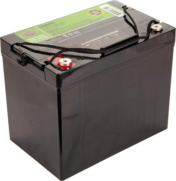 Interstate Batteries 12V 75Ah Deep Cycle Mobility Battery Group 24 VRLA SLA AGM (Insert Terminal) Rechargeable Replacement for Wheelchairs, Scooters, Medical Devices, Sump Pumps...