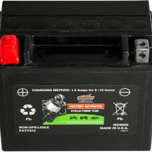 Interstate Batteries YTX12 12V 10Ah Powersports Battery 180CCA Factory Activated SLA AGM Rechargeable Replacement for Honda, Kawasaki, Motorcycles, Scooters, Bikes, ATVs, UTVs...