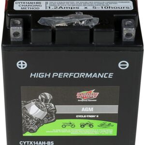 Interstate Batteries YTX14AH-BS 12V 12Ah Powersports Battery 210CCA High-Performance AGM Rechargeable Replacement for Kawasaki, Polaris, Yamaha ATVs, UTVs, Snowmobiles,...