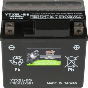 Interstate Batteries YTX5L-BS 12V 4Ah Powersports Battery 80CCA AGM Rechargeable Replacement for Kawasaki, Polaris, KTM Motorcycles, ATVs, Scooters, Bikes (CYTX5L-BS)