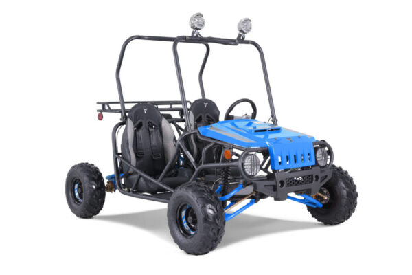 Tao Motor Jeep Auto 110 Go Kart - Image 31