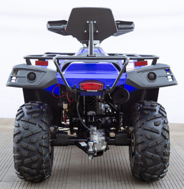 Vitacci Terminator 300 EFI 4x4 ATV-Quad, McPherson Strut Suspension, 4 Wheel Drive, CA Legal - Image 23