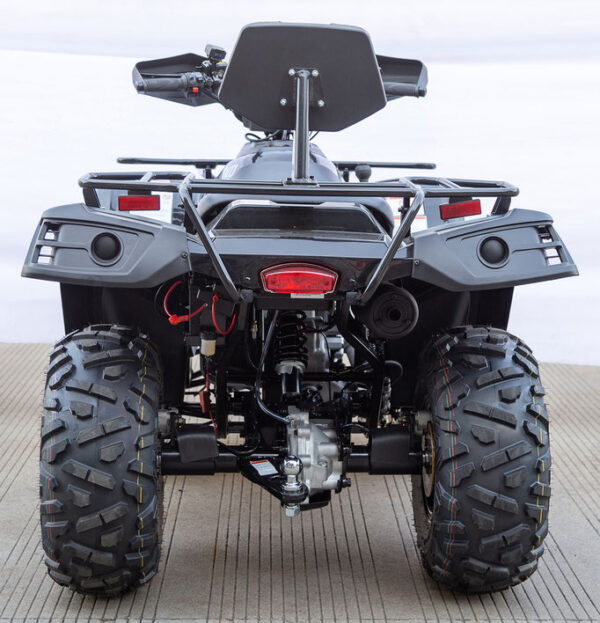 Vitacci Terminator 300 EFI 4x4 ATV-Quad, McPherson Strut Suspension, 4 Wheel Drive, CA Legal - Image 42