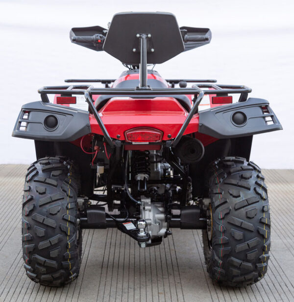 Vitacci Terminator 300 EFI 4x4 ATV-Quad, McPherson Strut Suspension, 4 Wheel Drive, CA Legal - Image 17