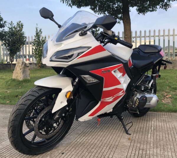 Vitacci Falcon 250cc - Image 3