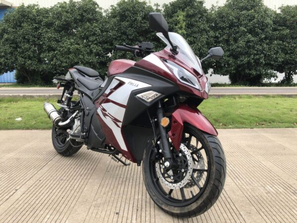 Vitacci Falcon 250cc - Image 6