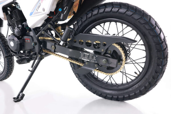 TAO TBR7D 250cc four-stroke dual sport Bike - Image 7