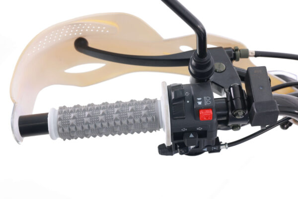 TAO TBR7D 250cc four-stroke dual sport Bike - Image 13