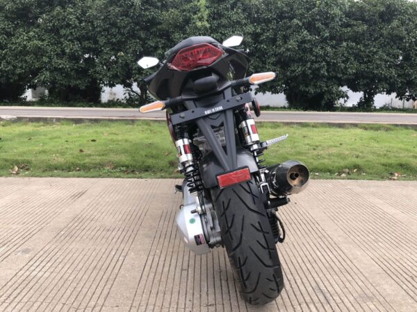 Vitacci Falcon 250cc - Image 10