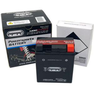 Battery YTX7L-BS
