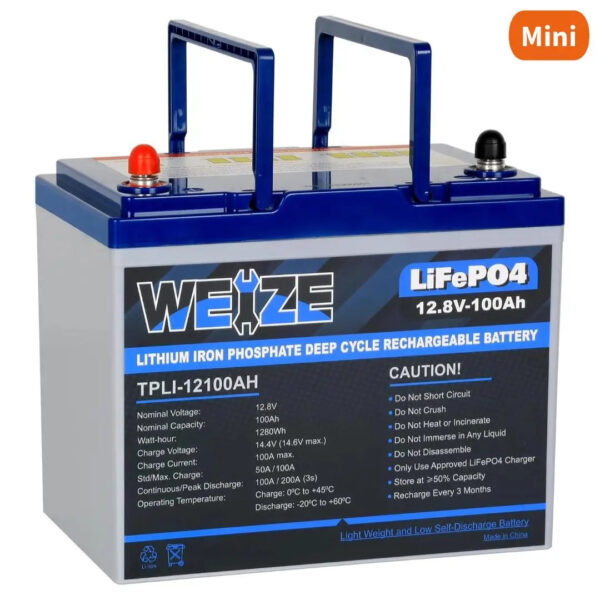 WEIZE 12V 100Ah 1280Wh LiFePO4 Lithium Battery, Upgrade Mini Size, Group 24 Deep Cycle Battery