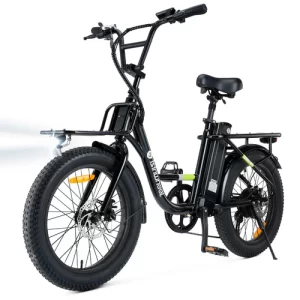 isinwheel U7 Cargo Bike Black