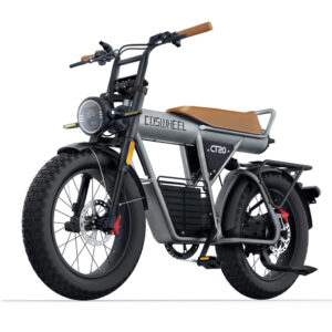 CT20 5" Fat Tire Electric Bike