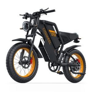 GT20 Electric Bike for Adults