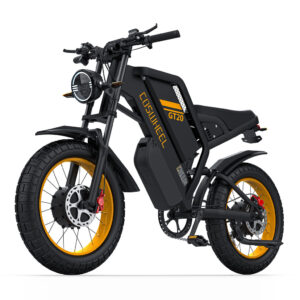 GT20 PRO Dual Motor Battery Electric Bike