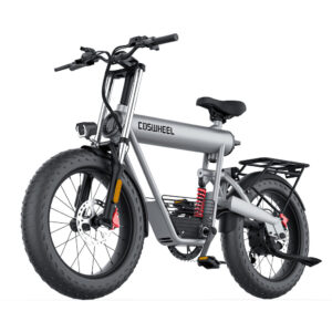 T20 Ebike