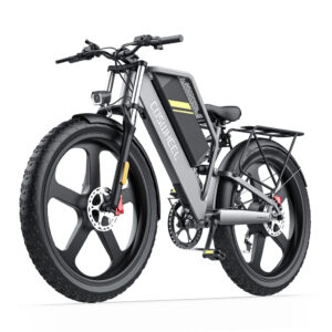 T26 Ebike