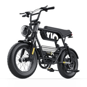Y16 Ebike