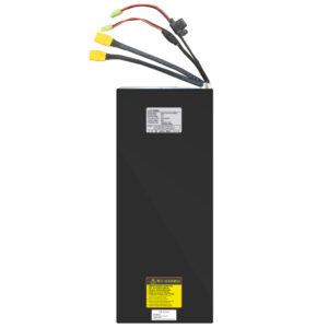 72V 50AH Battery Predator