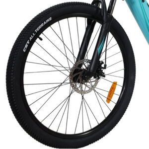 Emerge/Endura Electric Bike Driven Wheel Assembly