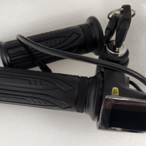 iScooter Throttle + Key for i12