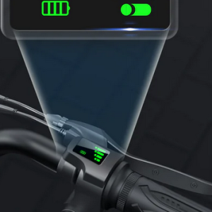 iScooter Throttle + Key for i12