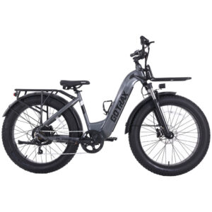 Alpine Fat Tire eBike