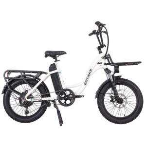 E-Cargo Electric Bike