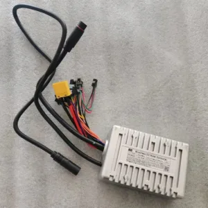 Dual Motor Ebike Controller