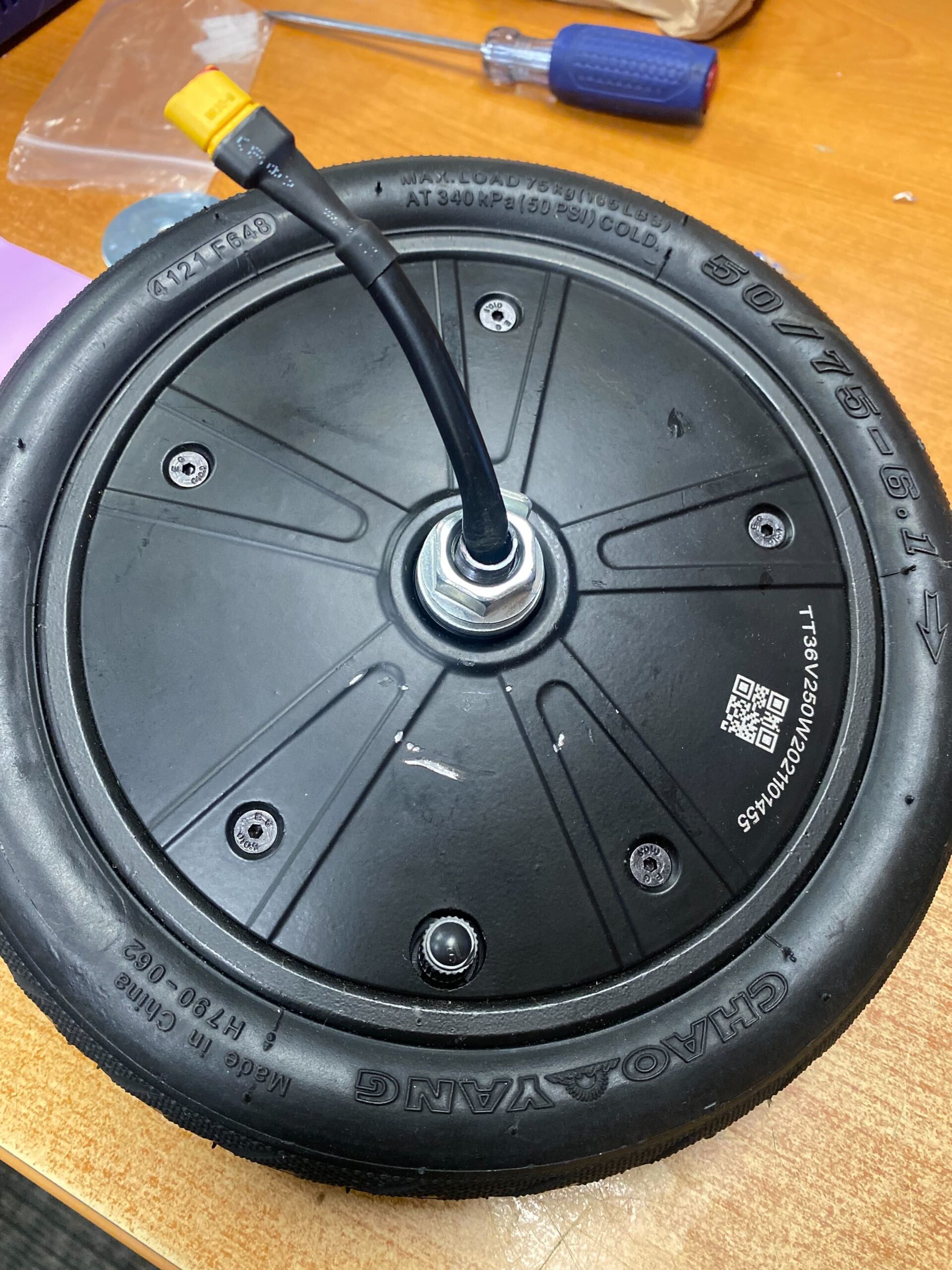 250 Watt Hub Motor & Front Wheel Assembly for GOTRAX GXL V2 & XR Elite Electric Scooters (Blemished)