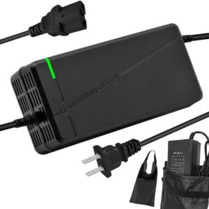 67.2V5A Charger IEC Plug for 60V Lithium Battery Such as Car Truck Lawn Mower Boat Marine Batteries (IEC Plug)