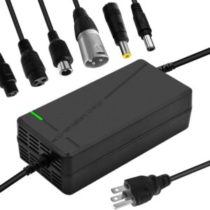 67.2V5A Charger with 6-in-1 Plug for 60V Lithium Battery Such as Car Truck Lawn Mower Boat Marine Batteries (67.2V5A-(6-in-1 Plug))