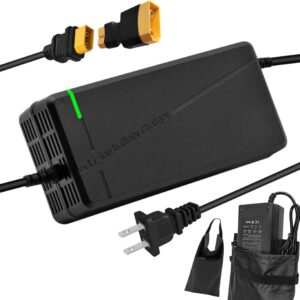 67.2V5A Charger with 6-in-1 Plug for 60V Lithium Battery Such as Car Truck Lawn Mower Boat Marine Batteries (XT60 / XT90 Plug)