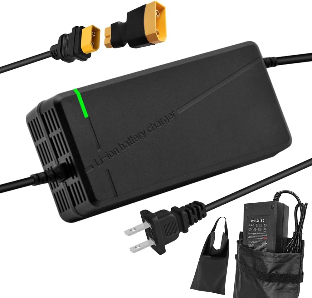 67.2V5A Charger with 6-in-1 Plug for 60V Lithium Battery Such as Car Truck Lawn Mower Boat Marine Batteries (XT60 / XT90 Plug)