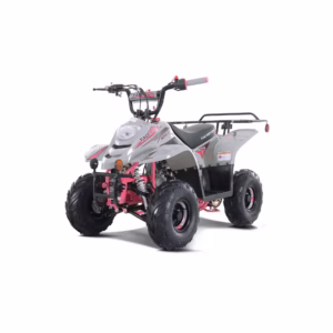 TAO ATV Body Fender Kit - 1 Piece - Pink Camo - Tao Tao ATA110F/F1, Apache 110