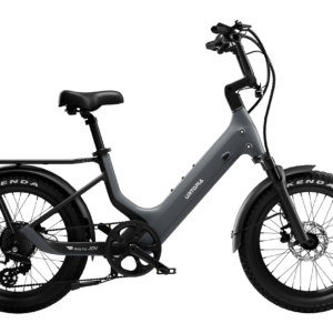 Joy Carbon Fat Tire Electric Bike