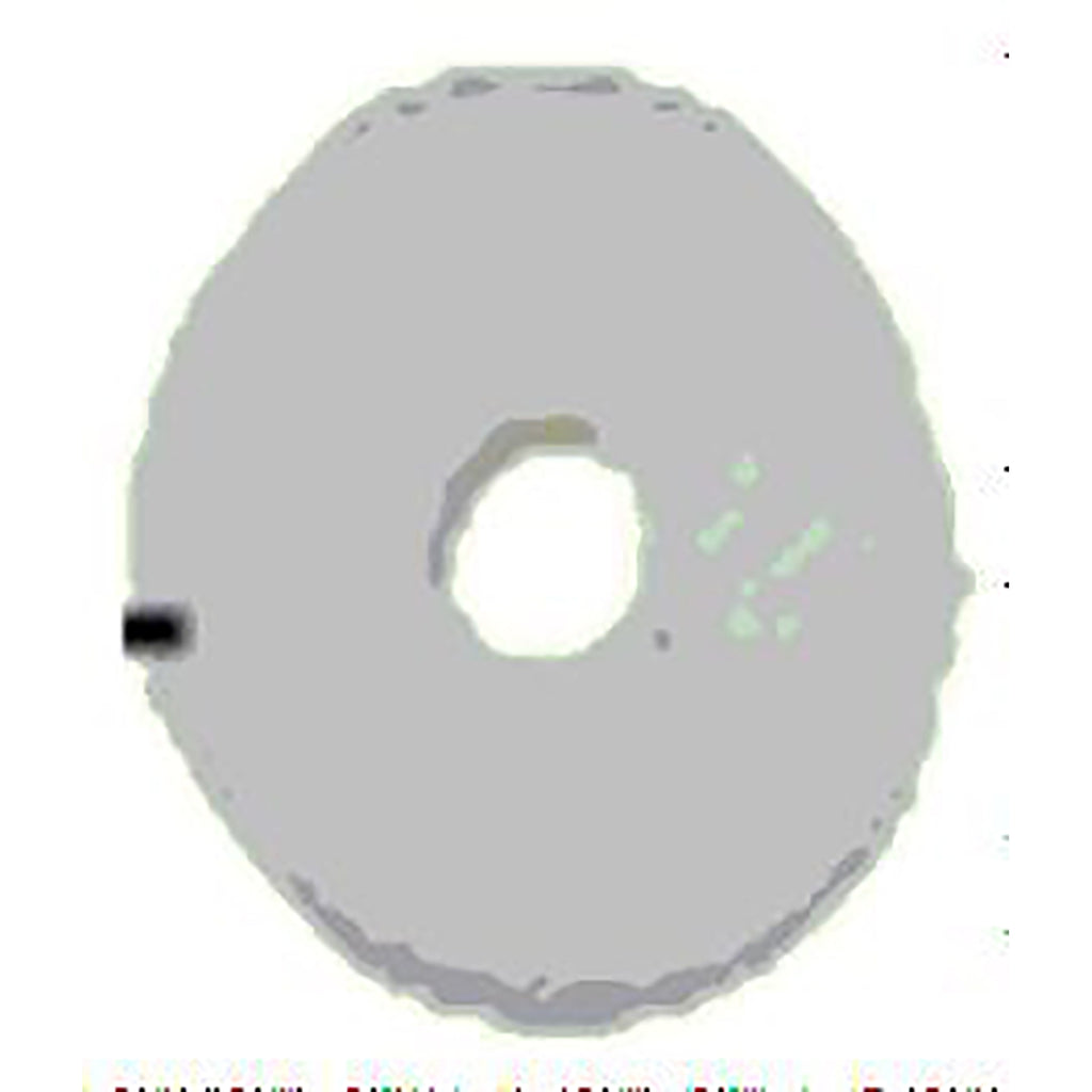 Pull Start Wheel (Snow Leopard)