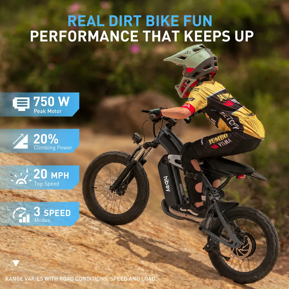 Hiboy DM14 Electric Dirt Bike - Image 5